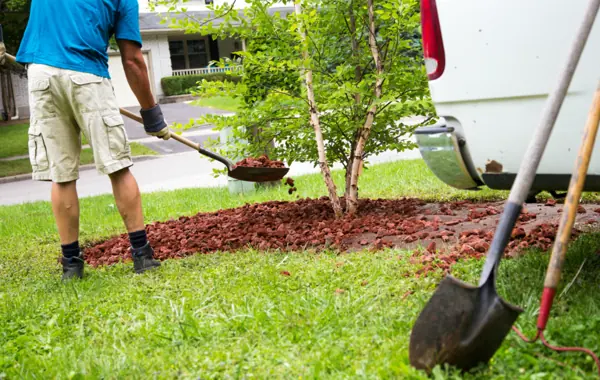 Illustrative image of landscape maintenance